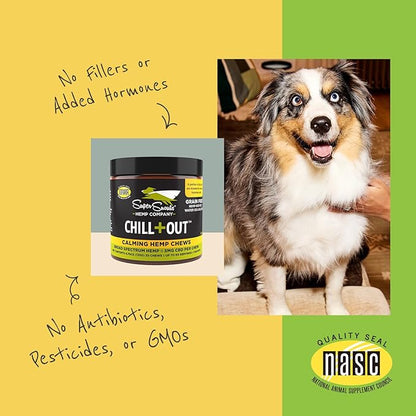 Super Snouts Chill + Out– 30 Soft Chews – Calming Chews for Dogs and Cats Help Maintain Your Pet’s Emotional Balance – Made in The USA