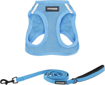 Best Pet Supplies Voyager Step-in Air All Weather Mesh Harness and Reflective Dog 5ft Leash Combo with Neoprene Handle, for Small, Medium and Large Breed Puppies - Set (Baby Blue), Medium