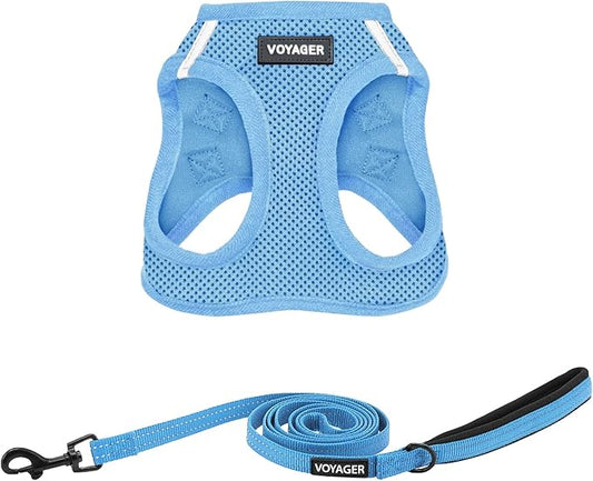 Best Pet Supplies Voyager Step-in Air All Weather Mesh Harness and Reflective Dog 5ft Leash Combo with Neoprene Handle, for Small, Medium and Large Breed Puppies - Set (Baby Blue), X-Small