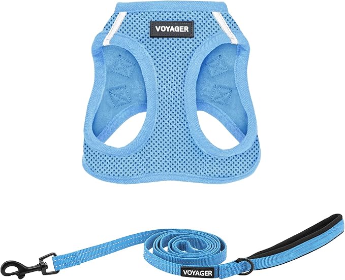Best Pet Supplies Voyager Step-in Air All Weather Mesh Harness and Reflective Dog 5ft Leash Combo with Neoprene Handle, for Small, Medium and Large Breed Puppies - Set (Baby Blue), XXX-Small