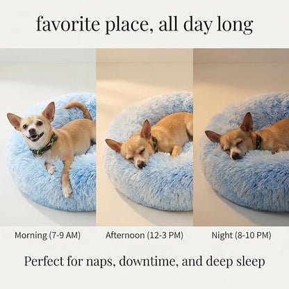 Calming Donut Dogs Beds for Small Dogs Washable,19inch Fluffy Round Puppy Bed for Puppies,Cats & Toy Breeds with Raised Rim,Fits up to 15 lbs Pets,Gradient Blue