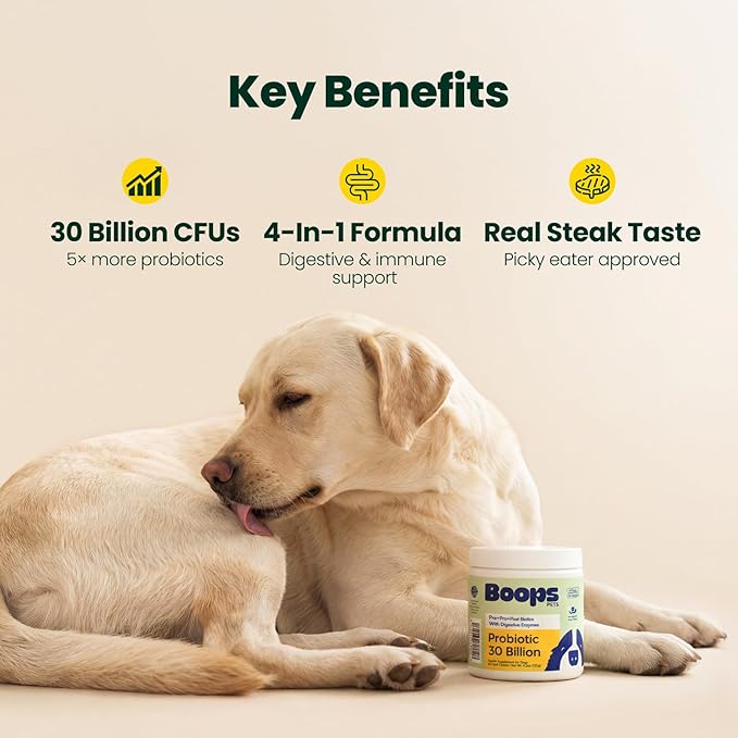 Probiotics for Dogs – 30 Billion CFU with Pre, Postbiotics & Digestive Enzymes – Supports Gut Health, Immunity, Loose Stools & Allergies – Filet Mignon Flavor – Vet Formulated – 60 Chews