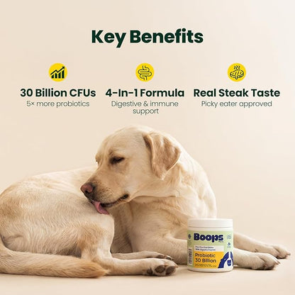 Probiotics for Dogs – 30 Billion CFU with Pre, Postbiotics & Digestive Enzymes – Supports Gut Health, Immunity, Loose Stools & Allergies – Filet Mignon Flavor – Vet Formulated – 60 Chews