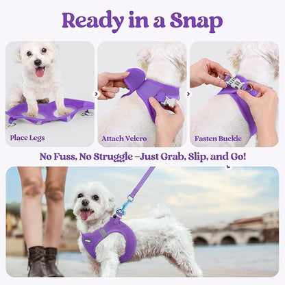 rabbitgoo Dog Harness Small Sized and Leash Set, Step in Soft Light Puppy Vest, Breathable Mesh Pet Harness, Reflective for Safe Outdoor Walking, Purple XXS