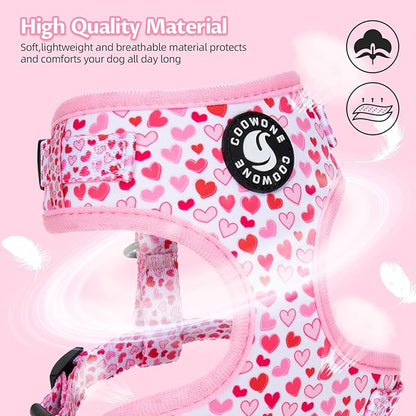 Dog Harness and Leash Set, Adjustable Dog Harness, Dog Leash, No Pull No Choke Puppy Harnesses for Walking Training for Small, Medium Pet (Little Love, S(Chest 14-19.6", Neck 10.6-13"))