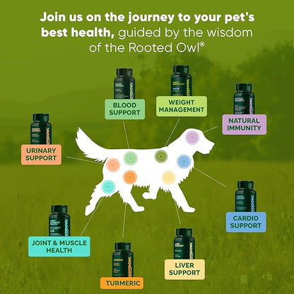 Rooted Owl Liver Support for Dogs - Natural Liver Health Supplement - Milk Thistle for Dogs - Vegetarian Capsules - 60/ct