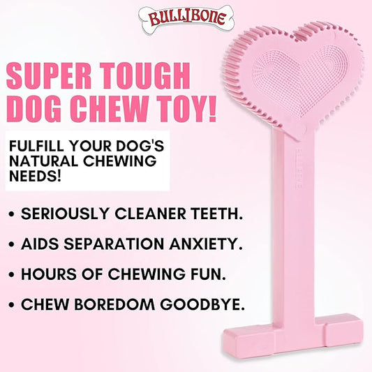 Bullibone Nylon Dog Chew Toy for Aggressive Chewers - Dental Hygiene Bone with Peppermint Flavor, Durable Tough Chew Toys for Large Dogs, Indestructible Dog Bone - 2 Pack