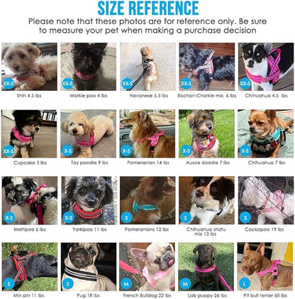 Lukovee No Pull Dog Harness and Leash Set, Soft Padded Small Dog Harness, Neck & Chest Adjustable Reflective Vest Puppy Harness with 4ft Lightweight Anti-Twist Dog Leash for Small Dogs (Pink, Large)