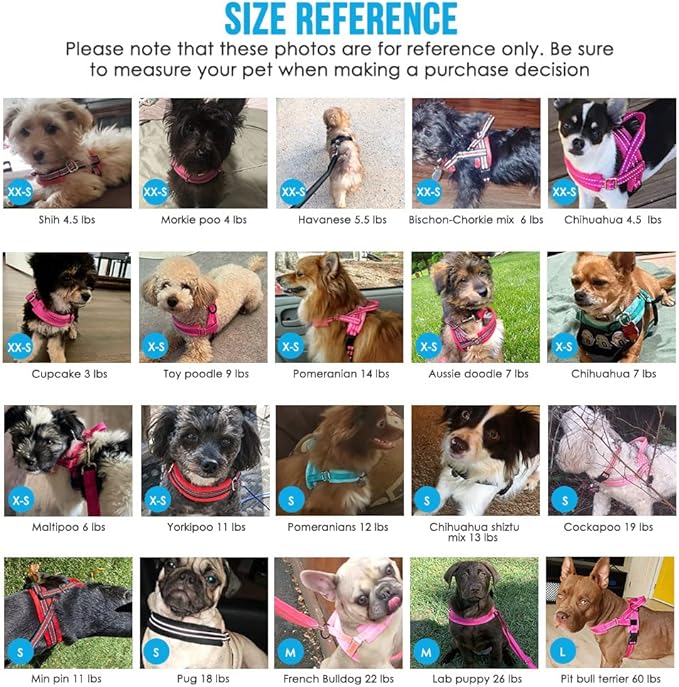 Lukovee No Pull Dog Harness and Leash Set, Soft Padded Small Dog Harness, Neck & Chest Adjustable Reflective Vest Puppy Harness with 4ft Lightweight Anti-Twist Dog Leash for Small Dogs (Pink, Medium)