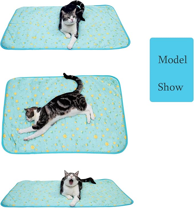 SEIS Dog Ice Pad Ice Silk Cats Kennel Mat Pet Cooling Pad Summer Cool Bamboo Mat Breathable Pad (Blue Fruit, L