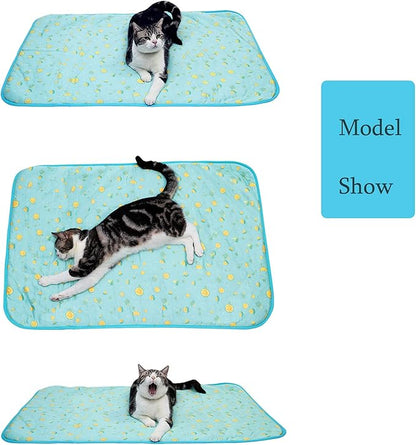 SEIS Dog Ice Pad Ice Silk Cats Kennel Mat Pet Cooling Pad Summer Cool Bamboo Mat Breathable Pad (Blue Fruit, L