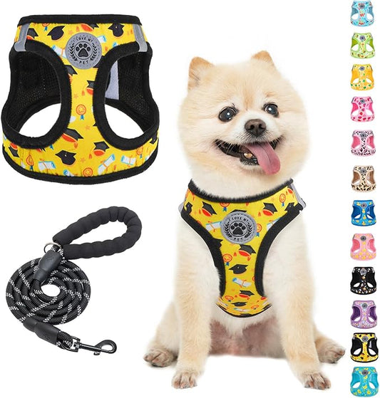 BEAUTYZOO Small Dog Harness and Leash Set,Step in No Choke No Pull Soft Mesh Dog Harnesses Reflective for Extra-Small/Small Medium Puppy Dogs and Cats,Yellow S