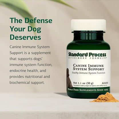 Standard Process Canine Immune System Support - Immune Support Supplement for Dogs - Powder Canine Supplement Aids Overall Health & Wellness - Immunity Support Supplement with Zinc & Kelp - 30 g