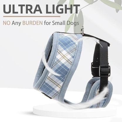 PUPTECK Soft Mesh Dog Harness and Leash Set Pet Puppy Cat Comfort Padded Vest No Pull Harnesses, Sky Blue, XS