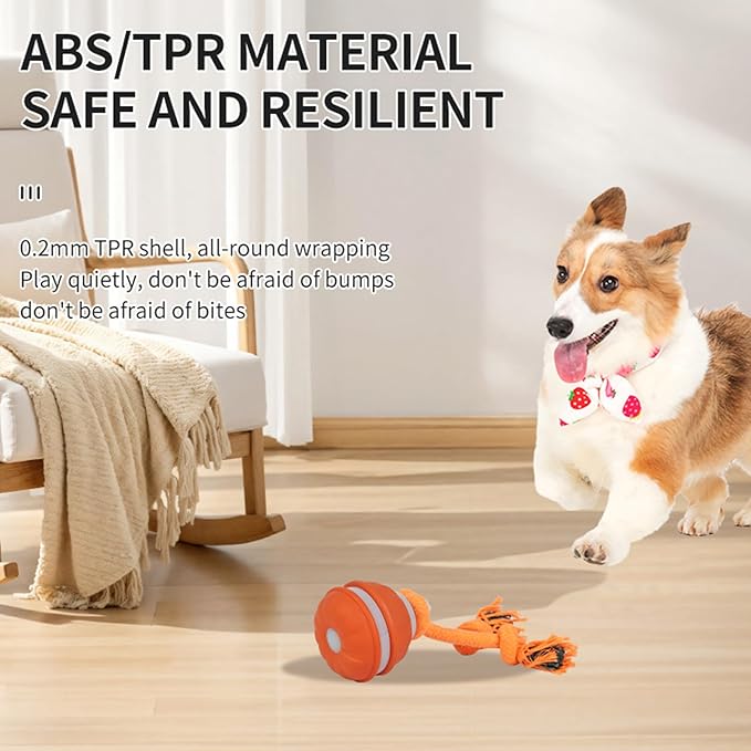 2PCS Interactive Dog Toys Dog Ball,Automatic Rolling and Bouncing Moving Dog Toy,Squeaky Rolling Balls with Flashing Light,USB Rechargeable Chew Toys for Puppy Small Dogs, Pet Ball to Keep Them Busy