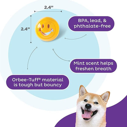 Outward Hound Nooks Happiness Interactive Durable Treat-Dispensing Dog Toy, Stuffable Puzzle Ball for Solo Play or Pair with Large Snoop, Mint-Scented, No BPA