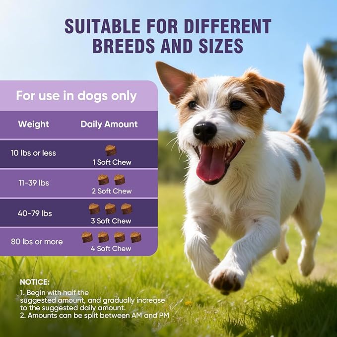 Dog Allergy Chews 200ct - Dog Allergy Itching Skin Relief & Immune Support Anti Itch Probiotics for Yeast, Itchy Skin and Itchy Ears, Vitamins for Seasonal Allergies Itchy Skin, Gut Health, Chicken
