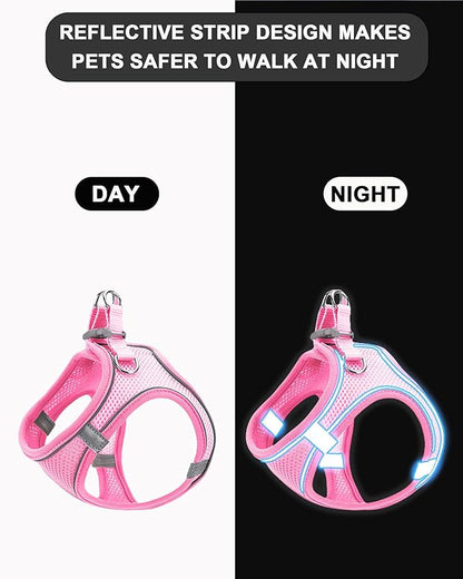 S Red Soft Mesh Dog Harness and Leash Set,No Escape Puppy Harnesses for Training Walking， Reflective Adjustable Puppy Vest for Small Medium Dogs, Cats (Red, S)