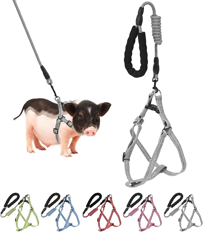 Mini Pig Harness, Adjustable Small Pig Harness with Leash Infinity Style Lead and Soft Foam Handle for Small to Medium Pet Pigs Walking Training Jogging (Gren, M)