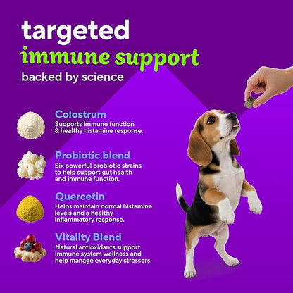 VitaFusion Probiotics for Dogs, Gut & Digestive Health Support with Colostrum & Quercetin, Immune & Seasonal Allergy Support, Superfood Vitality Blend, Beef Flavor120 Soft Chews.