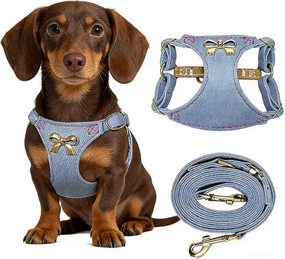 No Pull Dog Harness and Leash Set for Small Sized Dog Training; Puppy Harnesses with Multifunction Dog Leash, Soft Adjustable Denim No Choke Escape Proof Pet Harness for Small and Medium Dog (Blue XS)
