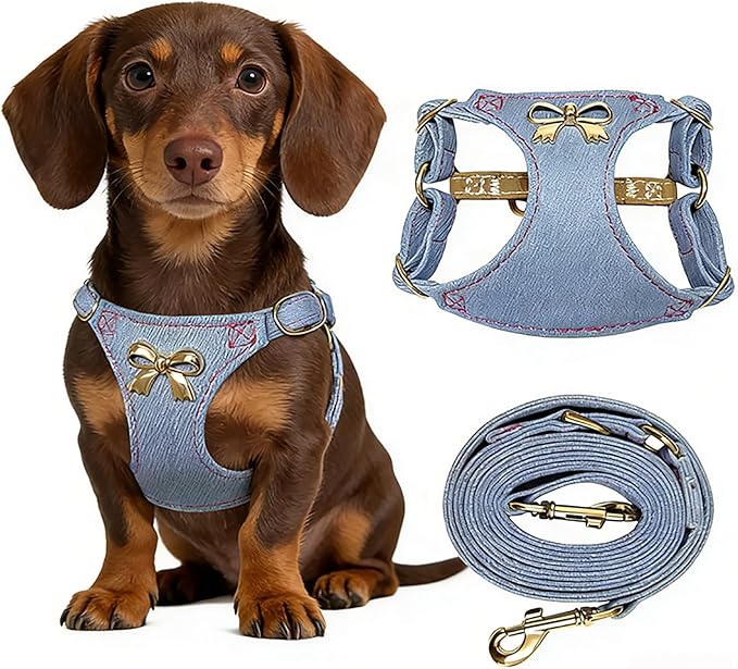 No Pull Dog Harness and Leash Set for Small Sized Dog Training; Puppy Harnesses with Multifunction Dog Leash, Soft Adjustable Denim No Choke Escape Proof Pet Harness for Small and Medium Dog (Blue S)