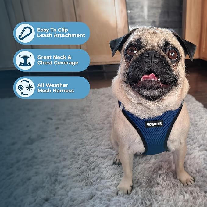 Best Pet Supplies Voyager Step-in Air All Weather Mesh Harness and Reflective Dog 5ft Leash Combo with Neoprene Handle, for Small, Medium and Large Breed Puppies - Set (Blue/Black Trim), Medium