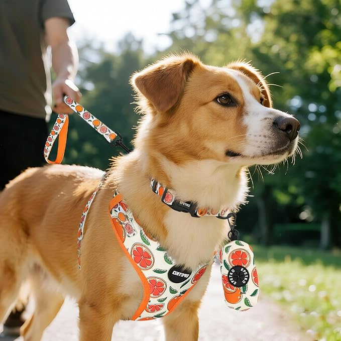 Small Dog Harness and Leash Set of 6, No Pull Soft Lightweight Mesh Puppy Harness， Adjustable Cute Floral Pattern Pet Harness for Small Medium Dogs (Orange, M)