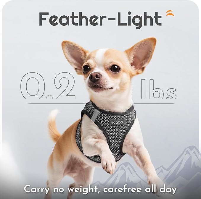 Eagloo Small Dog Harness and Leash Set, Step in Puppy Vest with Breathable Soft Mesh, Walking Reflective Pet Harness for Medium Small Dogs, Gray, M