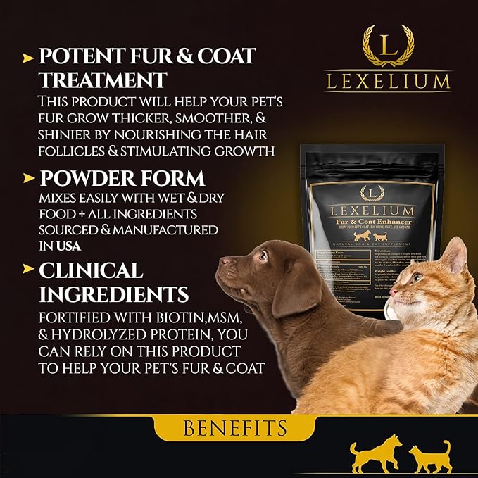 Dermatitis Skin and Coat Supplement for Dogs and Cats - Promotes Healthy Skin and Fur for Dogs and Cats - Helps w/Itch, Dry Skin + Other Symptom - Natural Vet-Approved Powder Formula - 200G