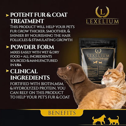 Dermatitis Skin and Coat Supplement for Dogs and Cats - Promotes Healthy Skin and Fur for Dogs and Cats - Helps w/Itch, Dry Skin + Other Symptom - Natural Vet-Approved Powder Formula - 200G