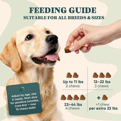 Dog Allergy Chews Omega 3 is Human,Itch Relief Multivitamin Medicine for Dogs Itching Skin Relief and Aller Immune Pet Allergy Dog Anti Itch Chews Coat Licking Supplements Pills Meds Medicine for Dogs