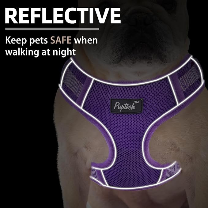 PUPTECK Small Dog Harness and Leash Set, No Pull Adjustable Puppy Cat Harness, Reflective Soft Mesh Pet Vest Small Sized, Purple, S