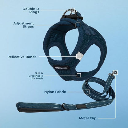 Best Pet Supplies Voyager Step-in Air All Weather Mesh Harness and Reflective Dog 5ft Leash Combo with Neoprene Handle, for Small, Medium and Large Breed Puppies - Set (Blue), Small