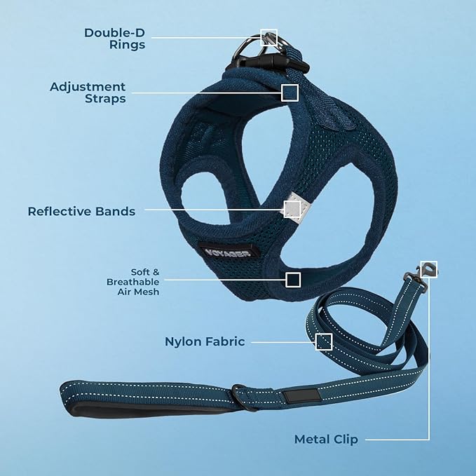 Best Pet Supplies Voyager Step-in Air All Weather Mesh Harness and Reflective Dog 5ft Leash Combo with Neoprene Handle, for Small, Medium and Large Breed Puppies - Set (Blue), XX-Small