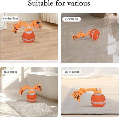 2Pack Interactive Dog Toys for Small Dogs – Peppy Pet Ball & Chase Buddy Dog Toy Active Rolling Puppy Toys to Keep Them Busy, Daily Training Interactive Puppy Toys