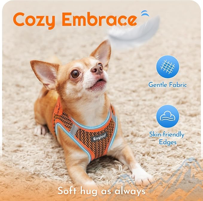 Eagloo Small Dog Harness and Leash Set, Step in Puppy Vest with Breathable Soft Mesh, Walking Reflective Pet Harness for Small Dogs, Orange, L
