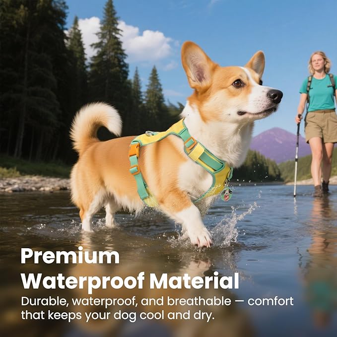 No Pull Dog Harness for Medium & Large Dogs, Lightweight Escape Proof Adjustable Dog Harness with Pocket, Front & Back Clip, Reflective Soft Vest with ID Tag, for Running Walking, Yellow