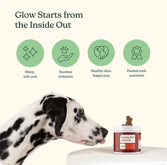 Reggie Skin & Coat Supplements for Dogs | Omega-3 Fish Oil & Vitamin E for Itchy Skin Relief, Shedding & Shiny Coat | Natural Dog Skin & Coat Chews | Vet-Approved & Made in USA | 60 Soft Chews