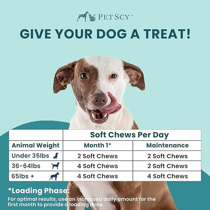 PetScy Itch & Allergy Plus Dog Allergy Chews for Itchy Skin, Ears & Paws | Colostrum, Probiotics & Quercetin | Dog Allergy Relief for Skin Redness, Immunity and Digestive Health - 60 Chews (Pack of 3)