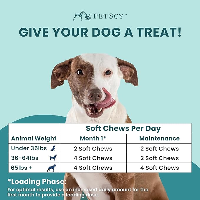 PetScy Itch & Allergy Plus Dog Allergy Chews for Itchy Skin, Ears & Paws | Colostrum, Probiotics & Quercetin | Dog Allergy Relief for Skin Redness, Hair Loss, Immunity and Digestive Health - 60 Chews