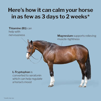 Formula 707 Calming Equine Supplement 20LB Bag – 160 Servings – Anxiety Relief and Enhanced Focus for Horses – L-Tryptophan, Thiamine & Magnesium