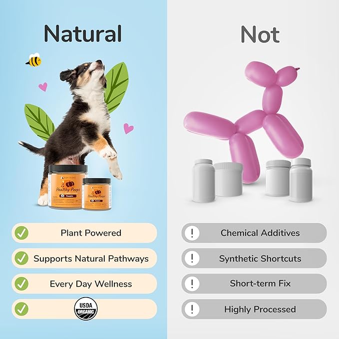 kin+kind Healthy Poops - Organic Pumpkin Powder for Dogs and Cats - Digestive and Probiotic Support w/Prebiotics & Fiber Powder - Cat & Dog Vitamins and Supplements for Sensitive Stomach - 4 oz