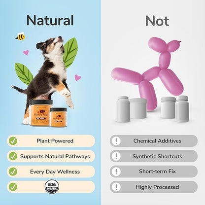 kin+kind Healthy Poops - Organic Pumpkin Powder for Dogs and Cats - Digestive and Probiotic Support w/Prebiotics & Fiber Powder - Cat & Dog Vitamins and Supplements for Sensitive Stomach - 8 oz