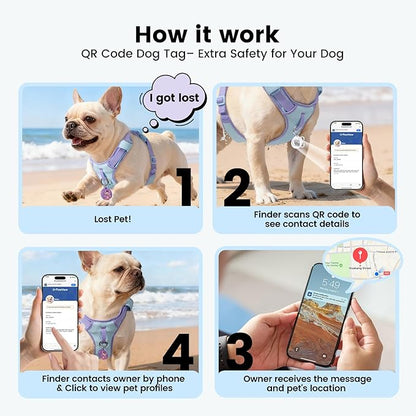 No Pull Dog Harness for Small Dogs & Puppies, Lightweight Escape Proof Adjustable Dog Harness with Pocket, Front & Back Clip, Reflective Soft Vest with ID Tag, for Running Walking, Blue