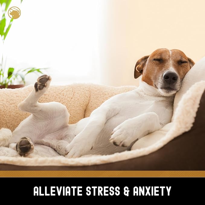 TEAM DOG Calming Chews - Anxiety Relief Treats | Natural Calming Bites with Melatonin, Chamomile, Valerian & Passion Flower | 120 Soft Chews for Large & Small Dogs | Delicious Peanut Butter Flavor
