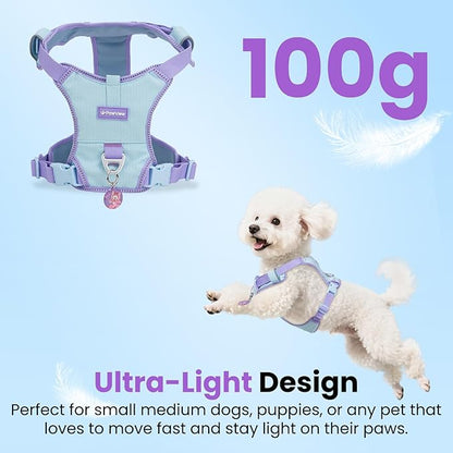 No Pull Dog Harness for Small Dogs & Puppies, Lightweight Escape Proof Adjustable Dog Harness with Pocket, Front & Back Clip, Reflective Soft Vest with ID Tag, for Running Walking, Blue