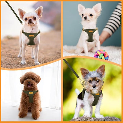 SlowTon Dog Harness Small Sized Dog - Soft XXS Dog Harness and Leash Set No Pull No Chock, Adjustable Lightweight Puppy Harness for XS Small Medium Dogs Cats (Solid Military Green, XS)