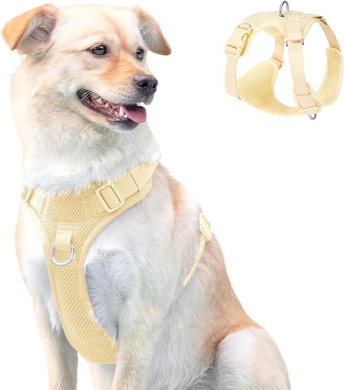 No Pull Dog Harness for Small Medium Large Dogs - Adjustable 2 Layer Mesh Dog Vest with Dual Clip, Escape Proof, Quick Release, Lightweight Breathable Mesh for Walking Hiking (Light Yellow,XS)