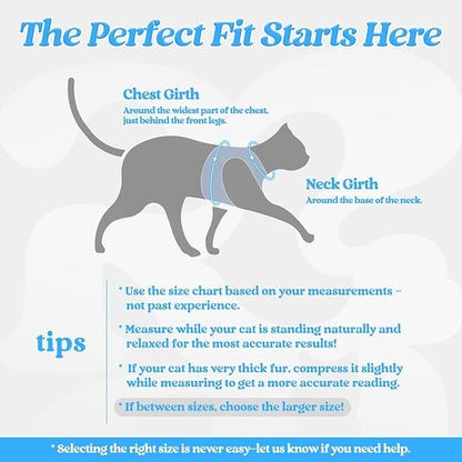 rabbitgoo Cat Harness and Leash Set for Walking Escape Proof, Adjustable Soft Kittens Vest with Reflective Strip for Cats, Comfortable Outdoor Vest, Light Blue, XL